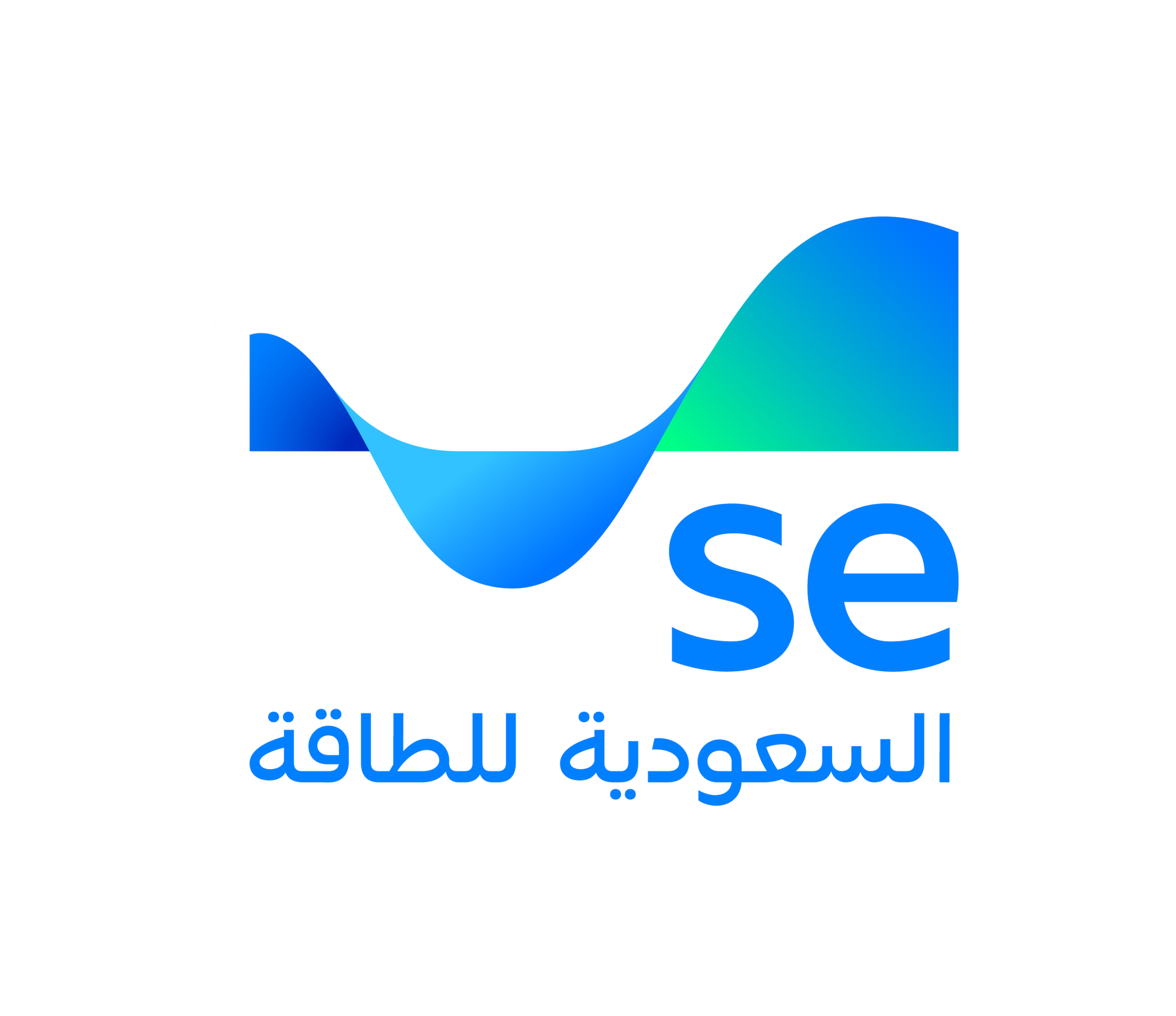 الشركة السعودية للكهرباء